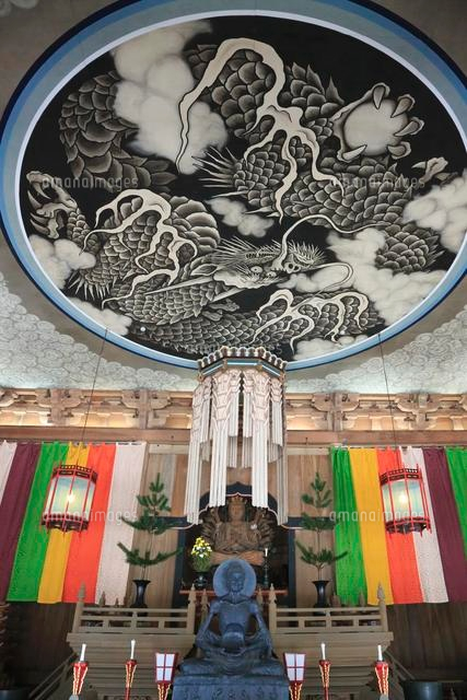 建長寺 法堂 雲龍図
